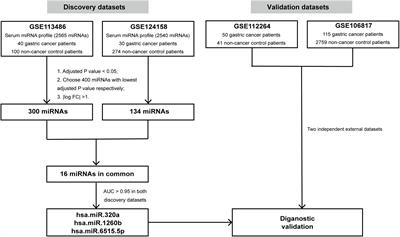 Identification of Serum Circulating MicroRNAs as Novel Diagnostic Biomarkers of Gastric Cancer